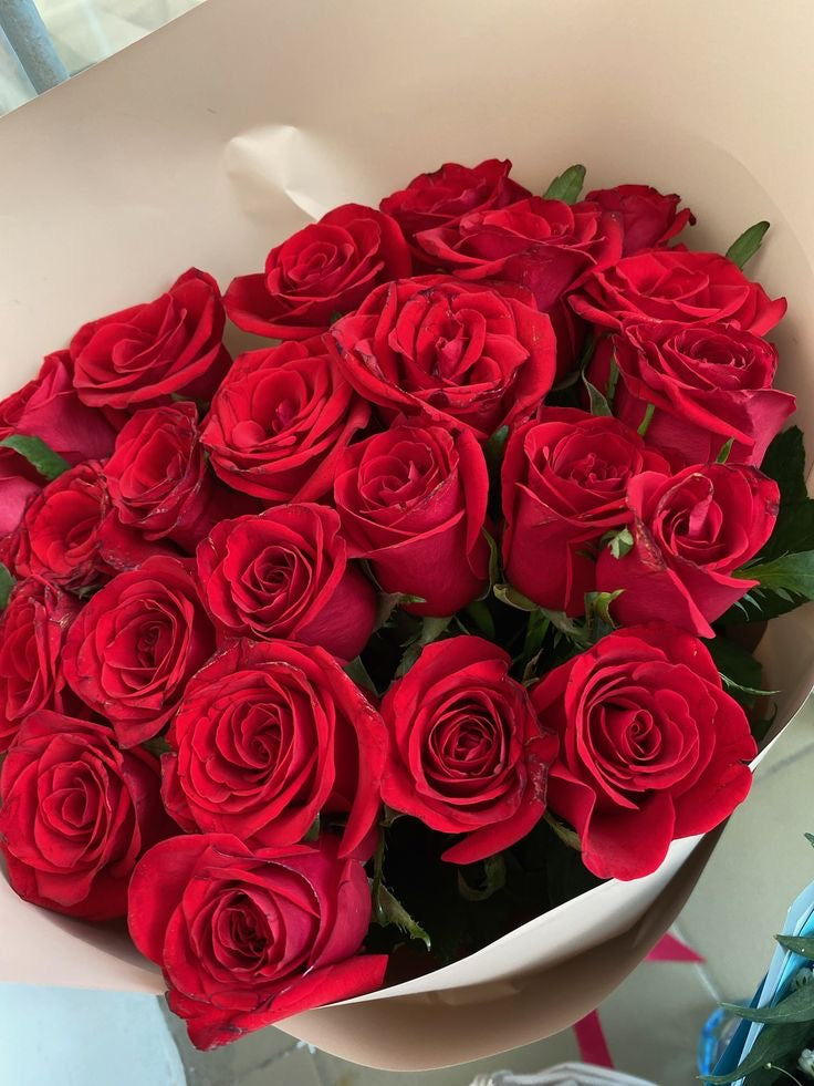 Long Stem Roses 20 Stem