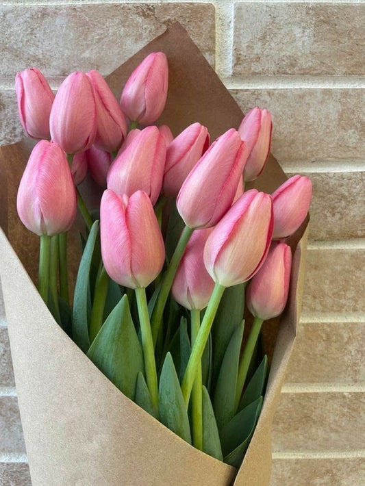 Tulips bunch Seasonal Colors